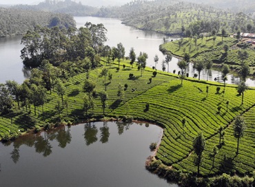 Holiday Package Of Kerala Tour 